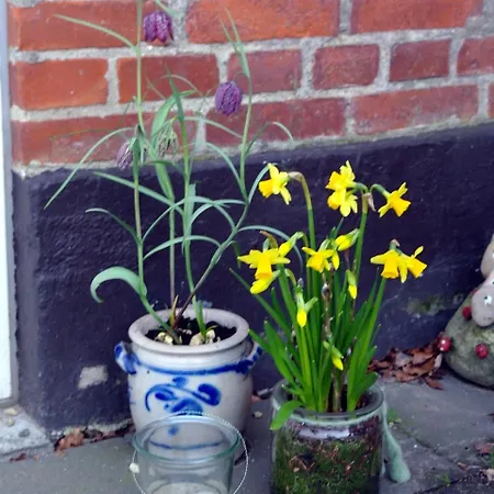 招待所 Agervig Næsbjerg