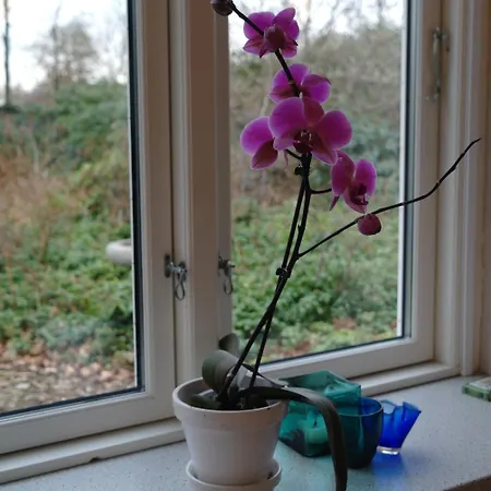 Agervig 招待所 3*