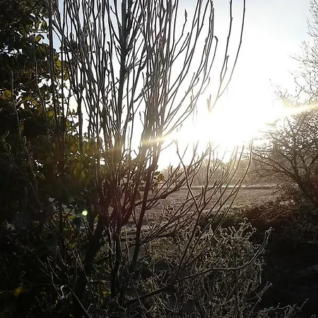 Agervig